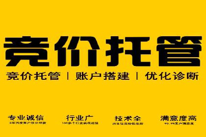 竞价托管SEM的创意与实践：多行业案例集